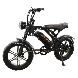 Bicicleta eléctrica DB01