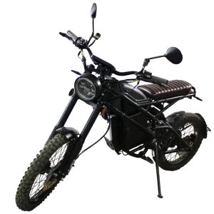 Motocicleta eléctrcia DM01