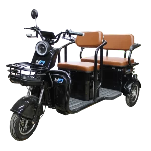 Triciclo eléctrico FX101