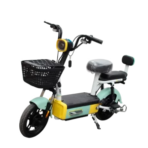 Bicicleta eléctrica JY01