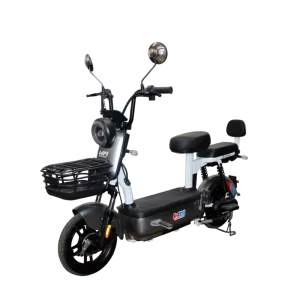 Bicicleta eléctrica JY02