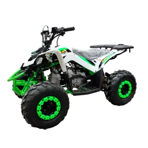 Cuatrimoto MH110