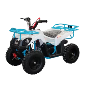 Cuatrimoto mini MH50