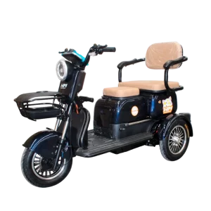 Triciclo eléctrico ST01