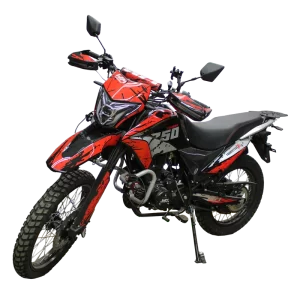 Motocicleta Tourist 250X
