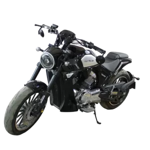 Motocicleta MJ300-B