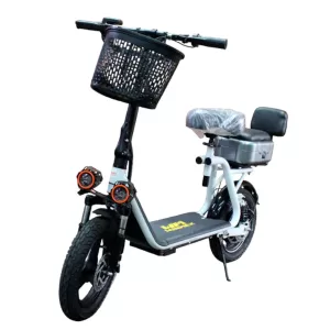Bicicleta eléctrica VR01