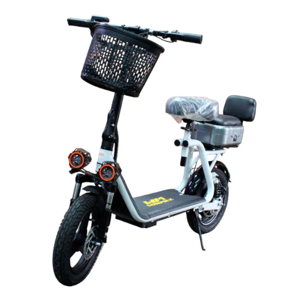 Bicicleta eléctrica VR01