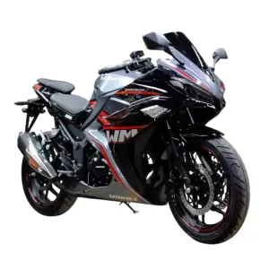 Motocicleta RM300